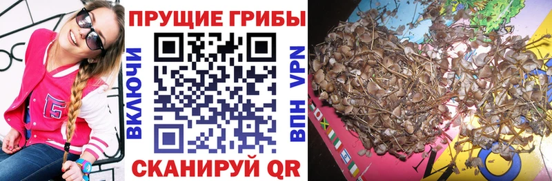 Псилоцибиновые грибы ЛСД  купить закладку  Лыткарино 